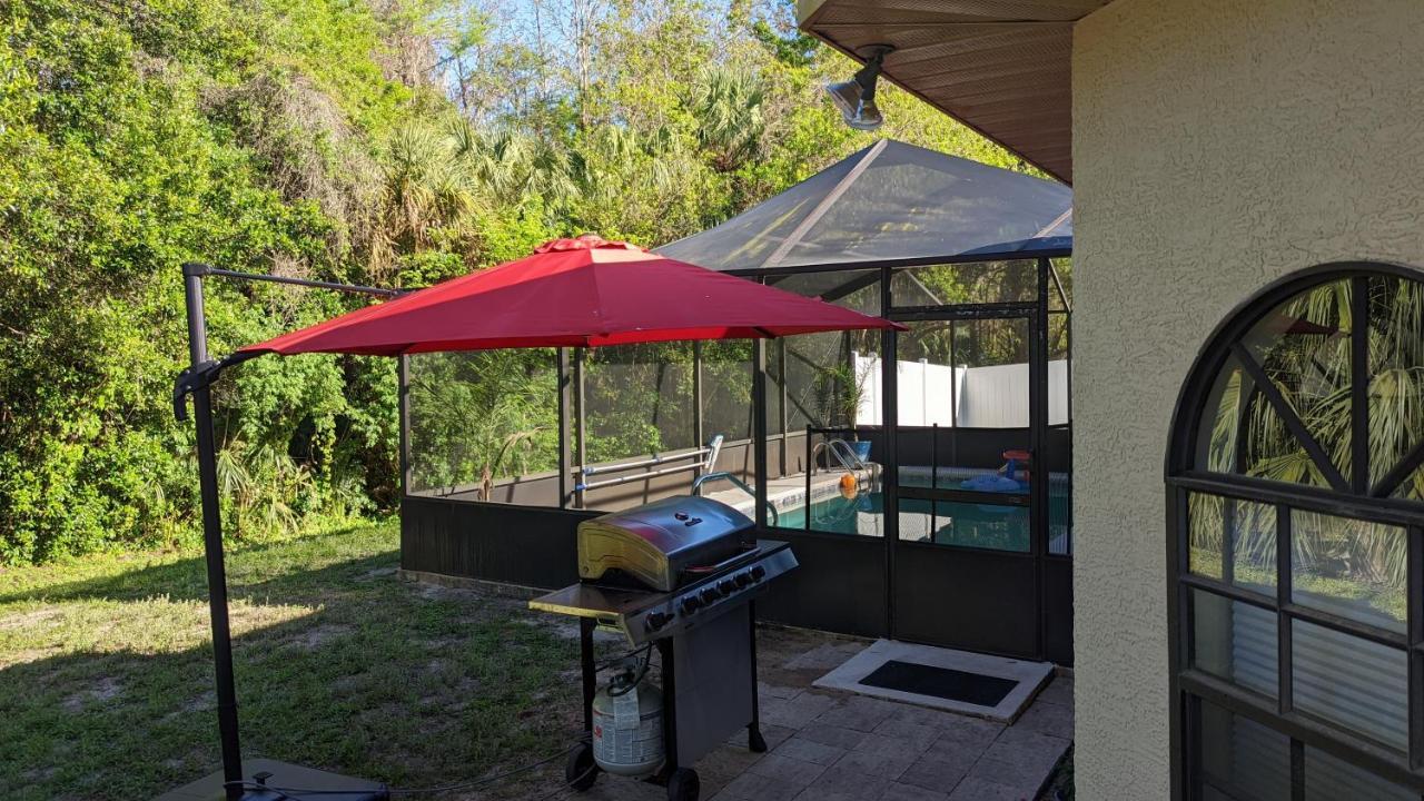 Your Manatee And Scalloping Adventure Retreat Crystal River Εξωτερικό φωτογραφία